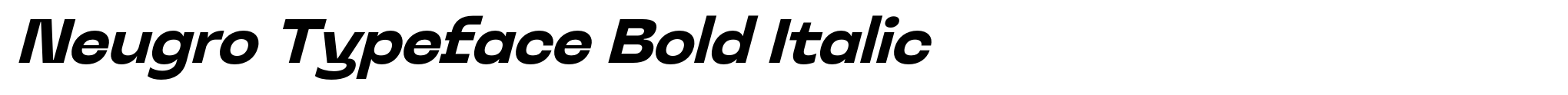 Neugro Typeface Bold Italic image